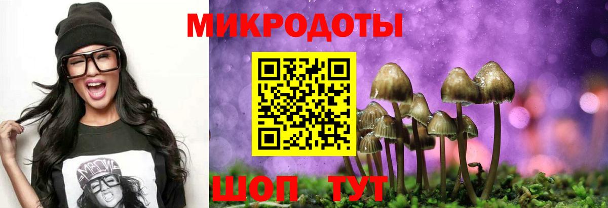 Псилоцибиновые грибы мухоморы  Галлюциногенные грибы мухоморы  сколько стоит  Вход с VPN  Аша 